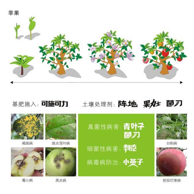 苹果绿色防控方案