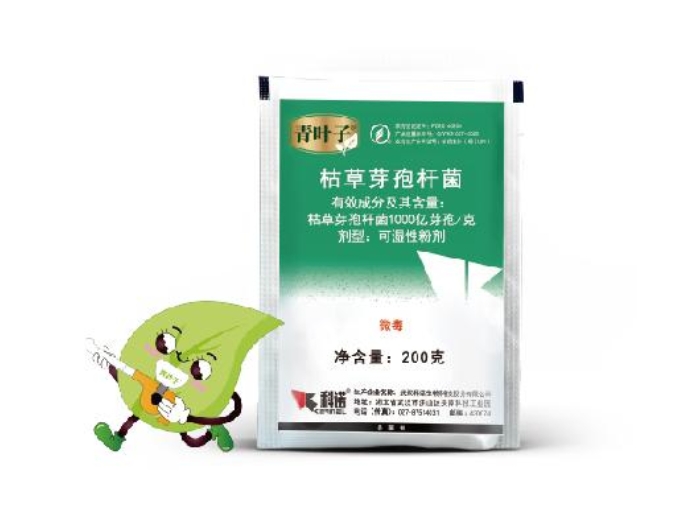 青叶子