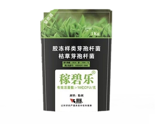 嫁碧乐