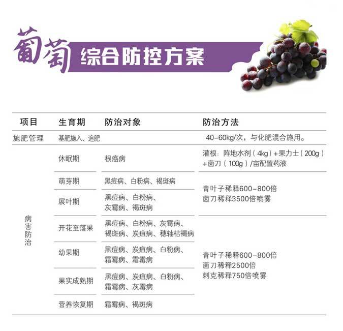 葡萄绿色防控方案
