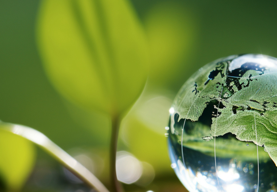 生物农药助力 水稻高产优质