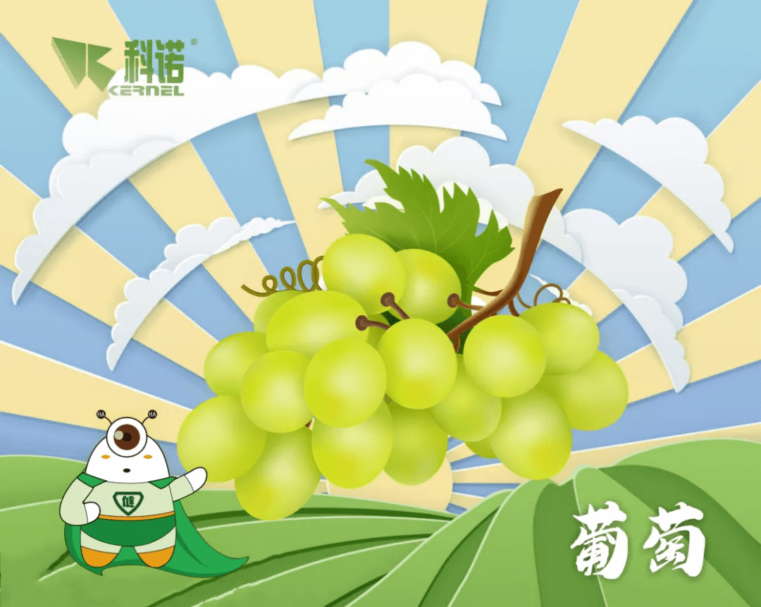 科微健®|Thriving Roots Bring Bumper Harvest of Grape