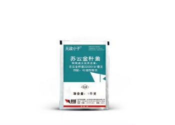 无敌小子