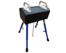 What is the good price and quality GYMNASTIC POMMEL BUCK