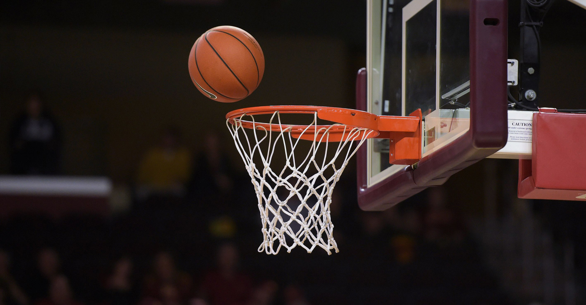 Specializing In The R&D Of Sports Equipment