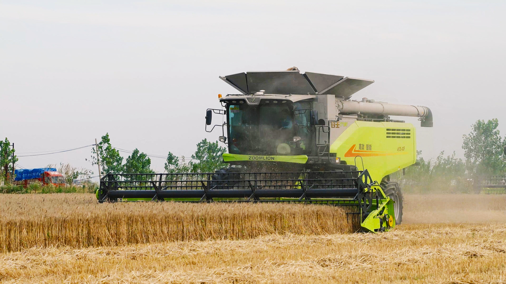 Industry leading strength! Zoomlion's domestic largest feeding volume harvester campaign in SanXia(summer harvest,summer planting and Summer management)