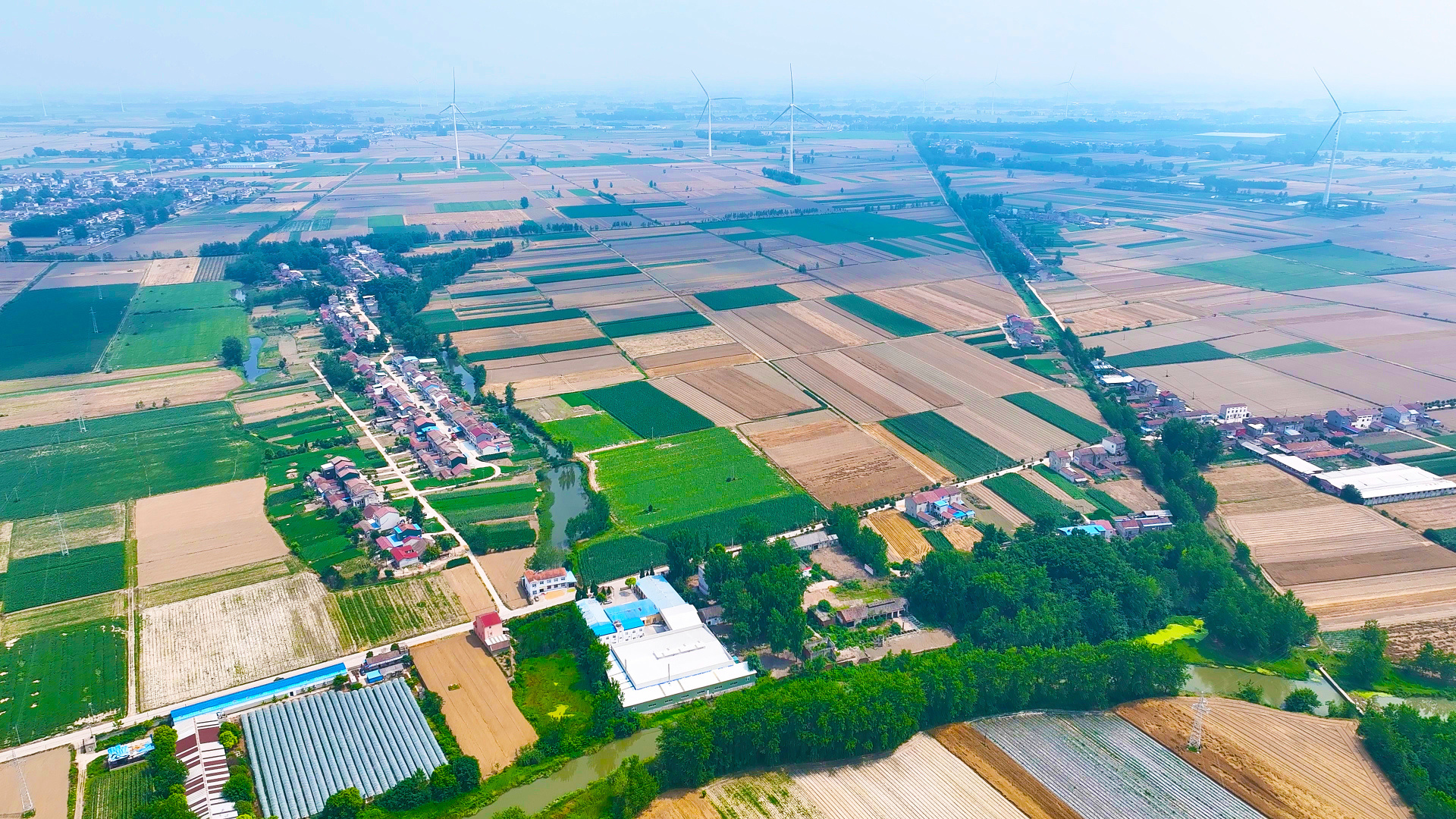 奔跑的三夏丨中聯(lián)重科點亮荊楚大地“油稻輪作”好“豐”景