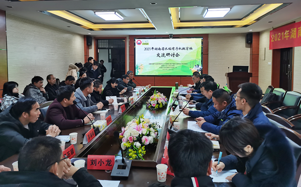 水稻有序機(jī)拋秧 校企聯(lián)動助推廣
