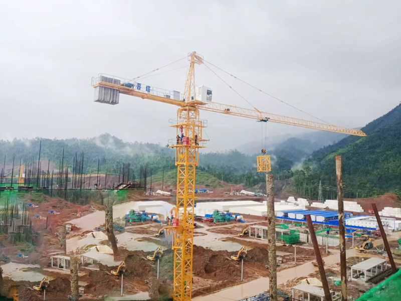 晉塔塔式起重機參建德天焦化（印尼）項目