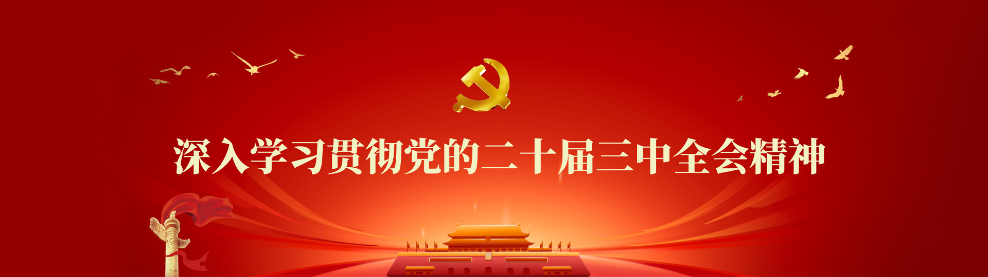 深入學習貫徹黨的二十屆三中全會精神
