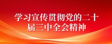 学习宣传贯彻党的二十届三中全会精神