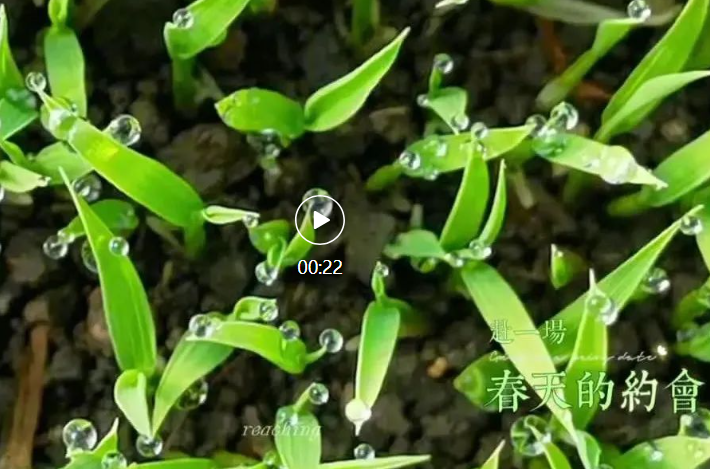 皇冠体育平台农业与您相约赴一场春天的约会