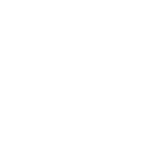 科研領域 科研領域
