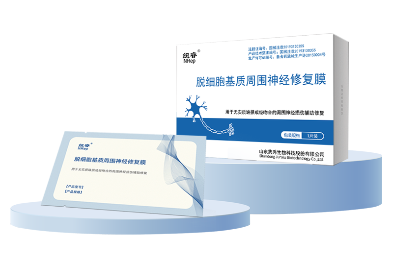 紐睿-脫細胞基質周圍神經修復膜