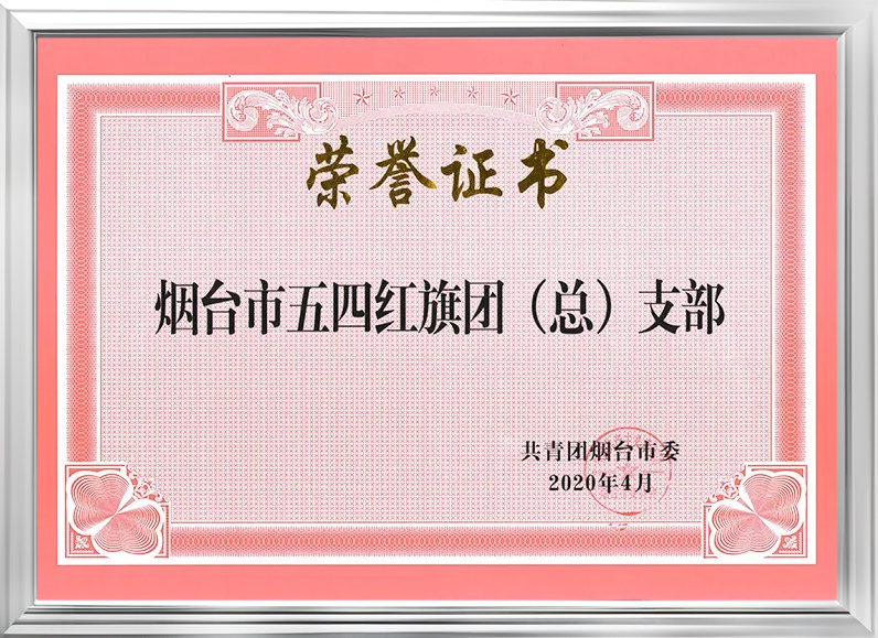 煙臺市五四紅旗團(總)支部 煙臺市五四紅旗團(總)支部