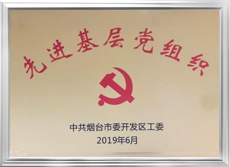煙臺市開發區先進基層黨組織 煙臺市開發區先進基層黨組織
