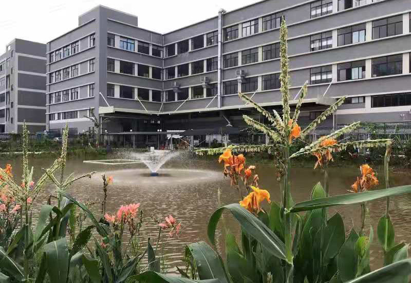 公司环境