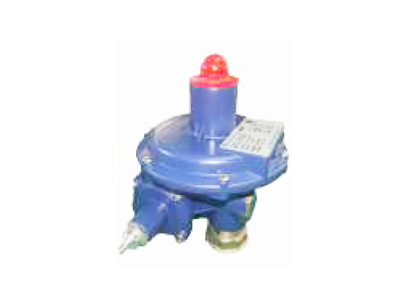 RTZ20/0.6-QZG* series (building) pressure regulator