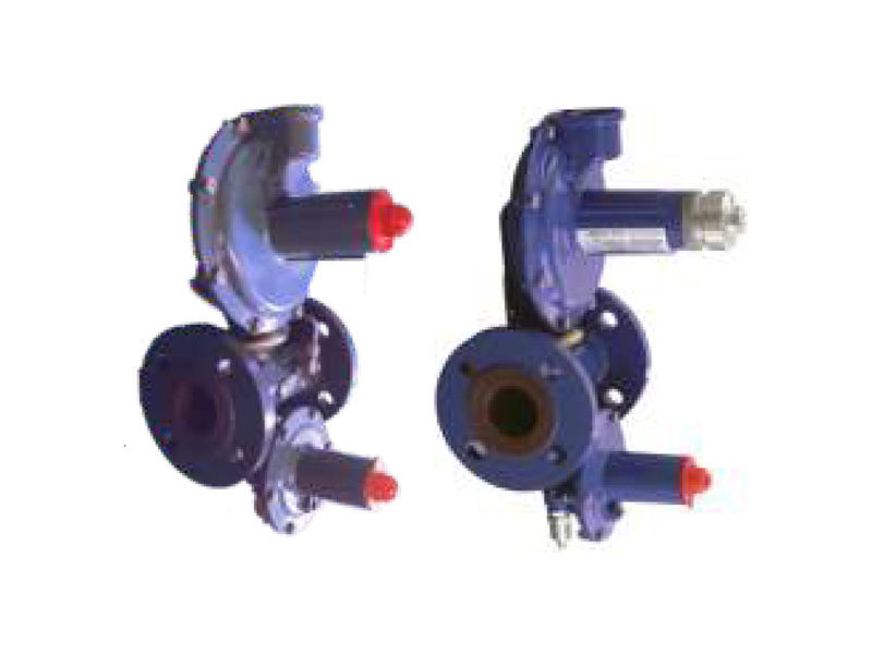 RTZ50/0.6-QZGB17* series pressure regulator