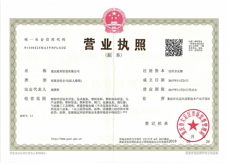 Chongqing Business License