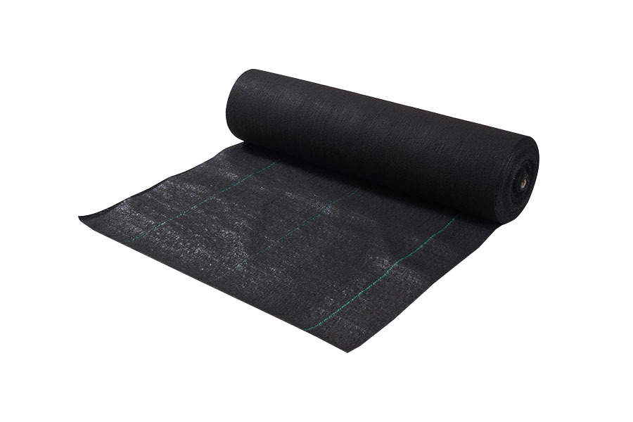 PP Non-woven Fabric