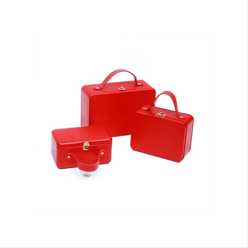 Valise et étui de transport