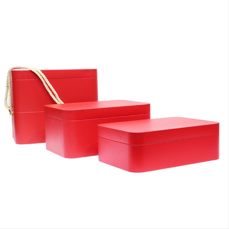 Valise et étui de transport