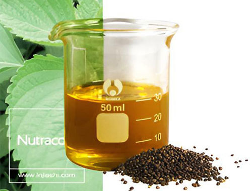 Perilla seed oil