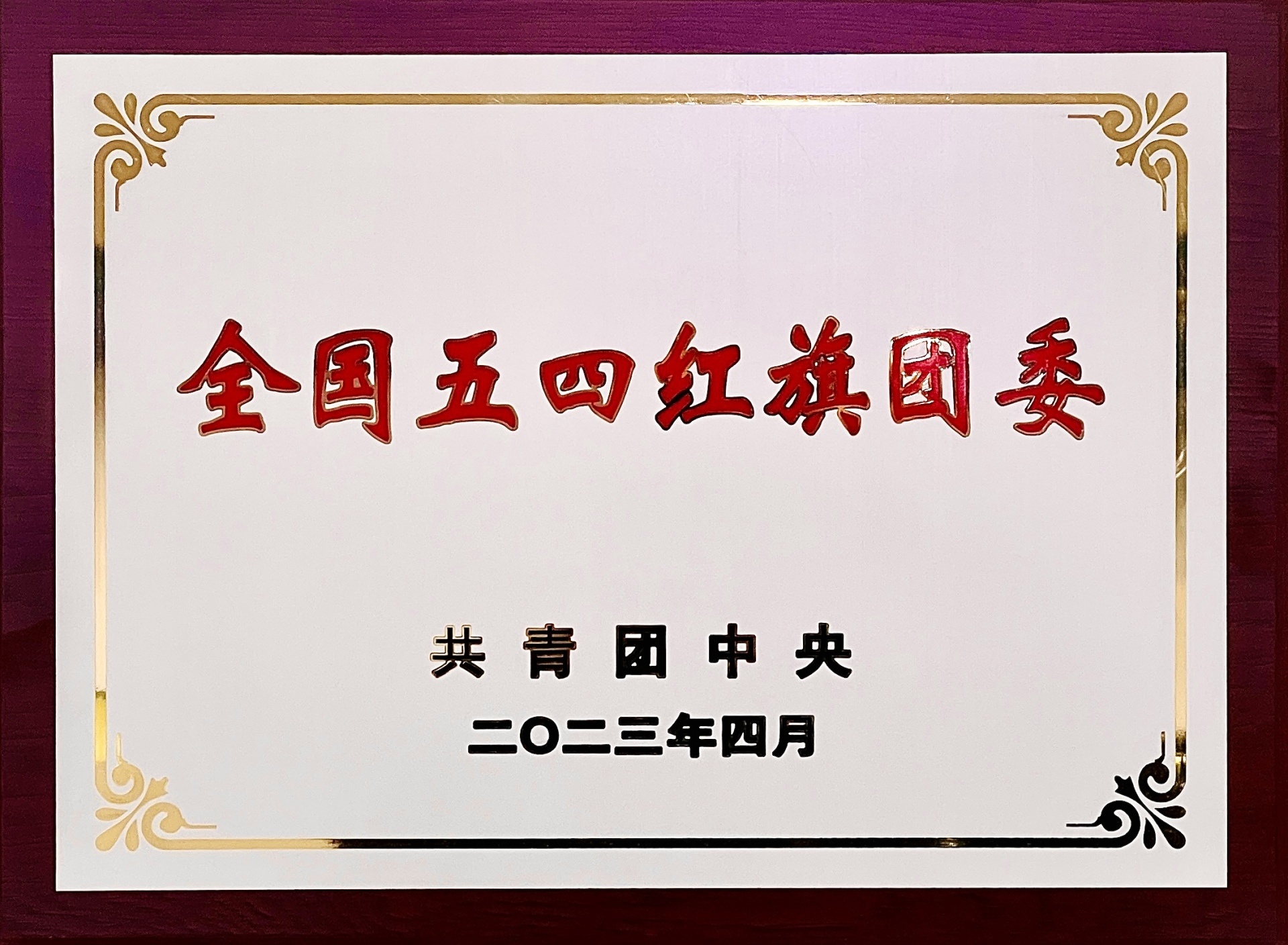 全國(guó)五四紅旗團(tuán)委 全國(guó)五四紅旗團(tuán)委