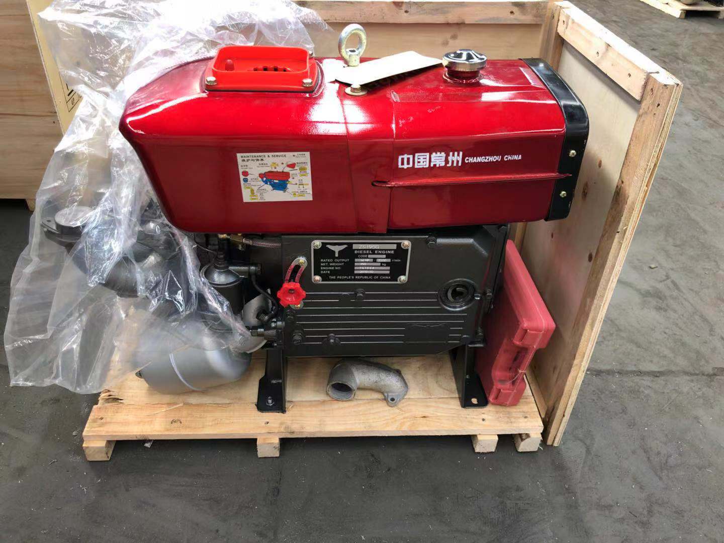 Moteur diesel ZS195