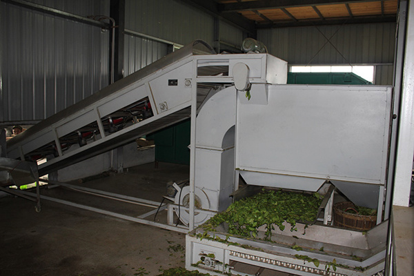 Hunan Xiaoxiang Tea Industry Co., Ltd.