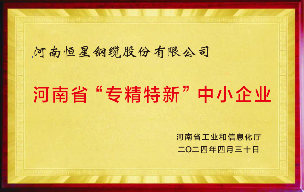 鋼纜專(zhuān)精特新