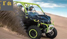 BRP all-terrain police buggy