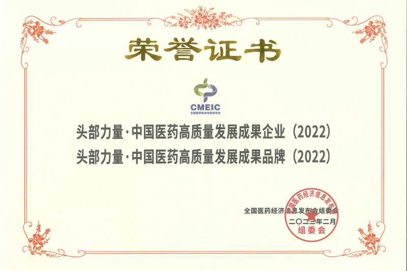 头部力量·中国医药高质量发展成果品牌、头部力量·中国医药高质量发展成果企业--荣誉证书