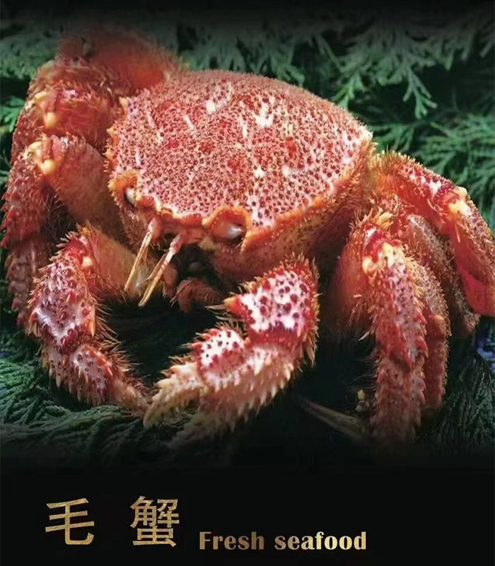 毛蟹