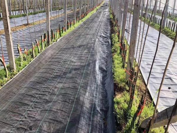 PE grass-proof cloth