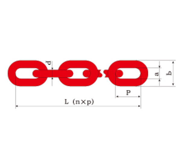 Lashing Chain