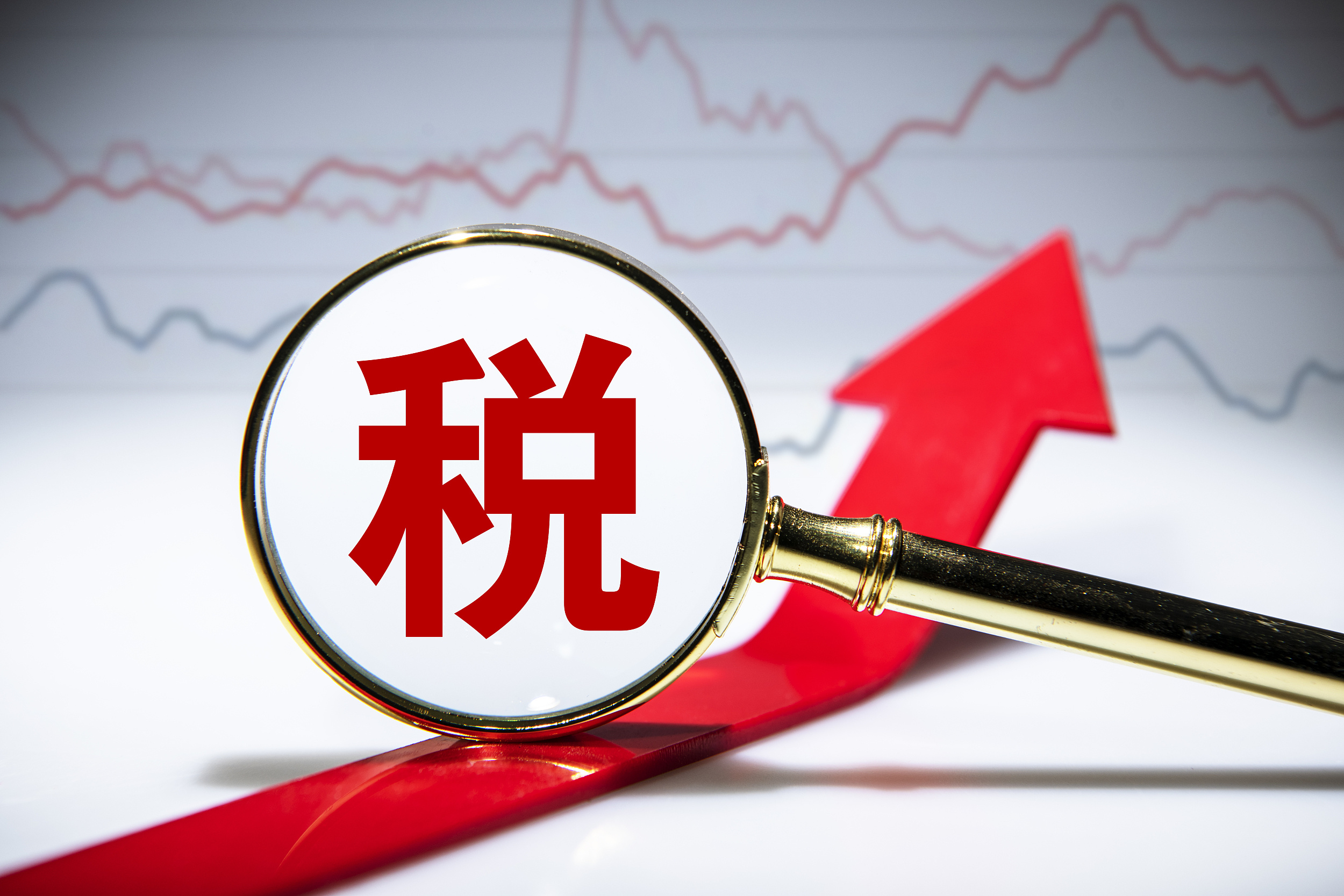 國(guó)家稅務(wù)總局關(guān)于開(kāi)展2025年“便民辦稅春風(fēng)行動(dòng)”的意見(jiàn)