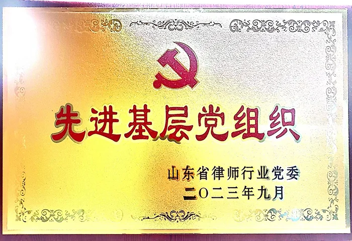 先进基层党组织 先进基层党组织