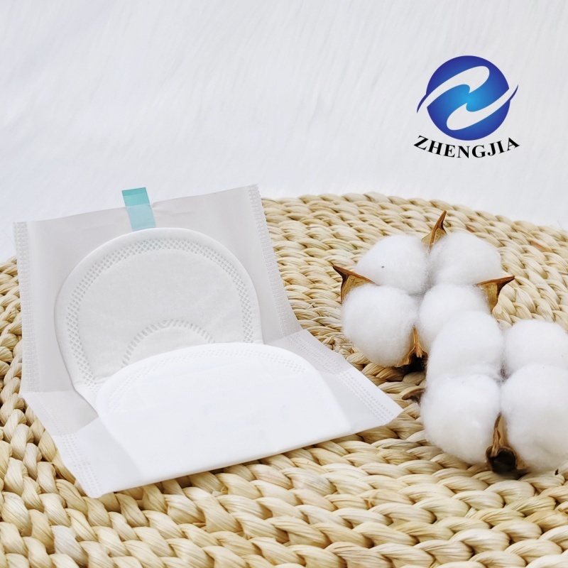 High Quality Organic Cotton Ladies' Mini Sanitary Napkins Super Absorbent Daily Use Menstrual Pads Biodegradable OEM