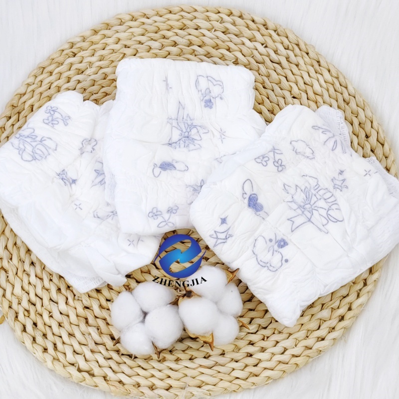 Menstrual Pants Period Panties Japanese Girl in Diaper Soft Care Diapers and Sanitary Pads