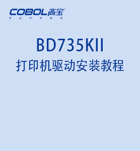 BD735KII printer computer connection and driver installation