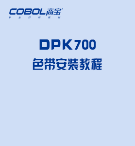 DPK700 Ribbon Installation Video.mp4