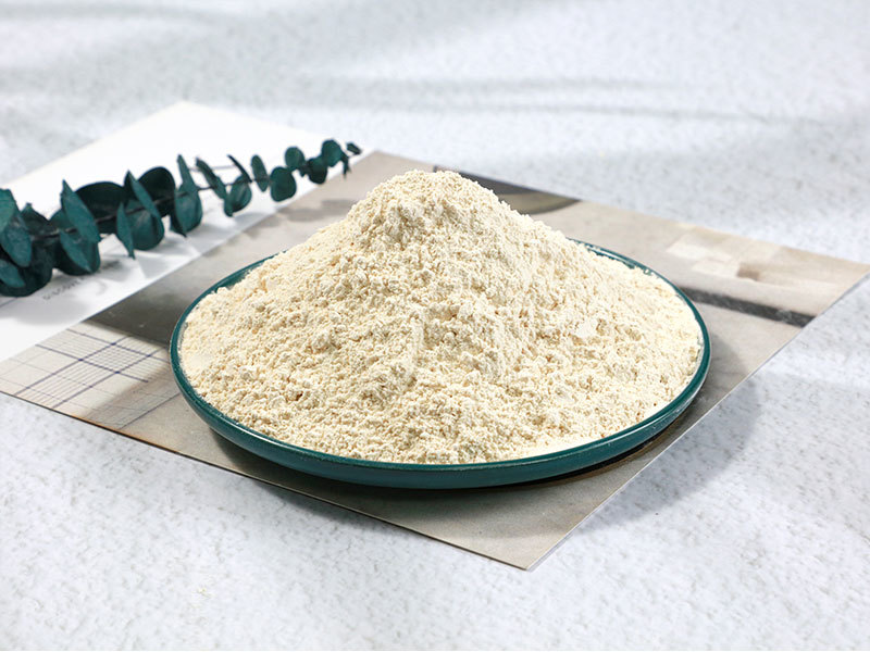 Garlic powder