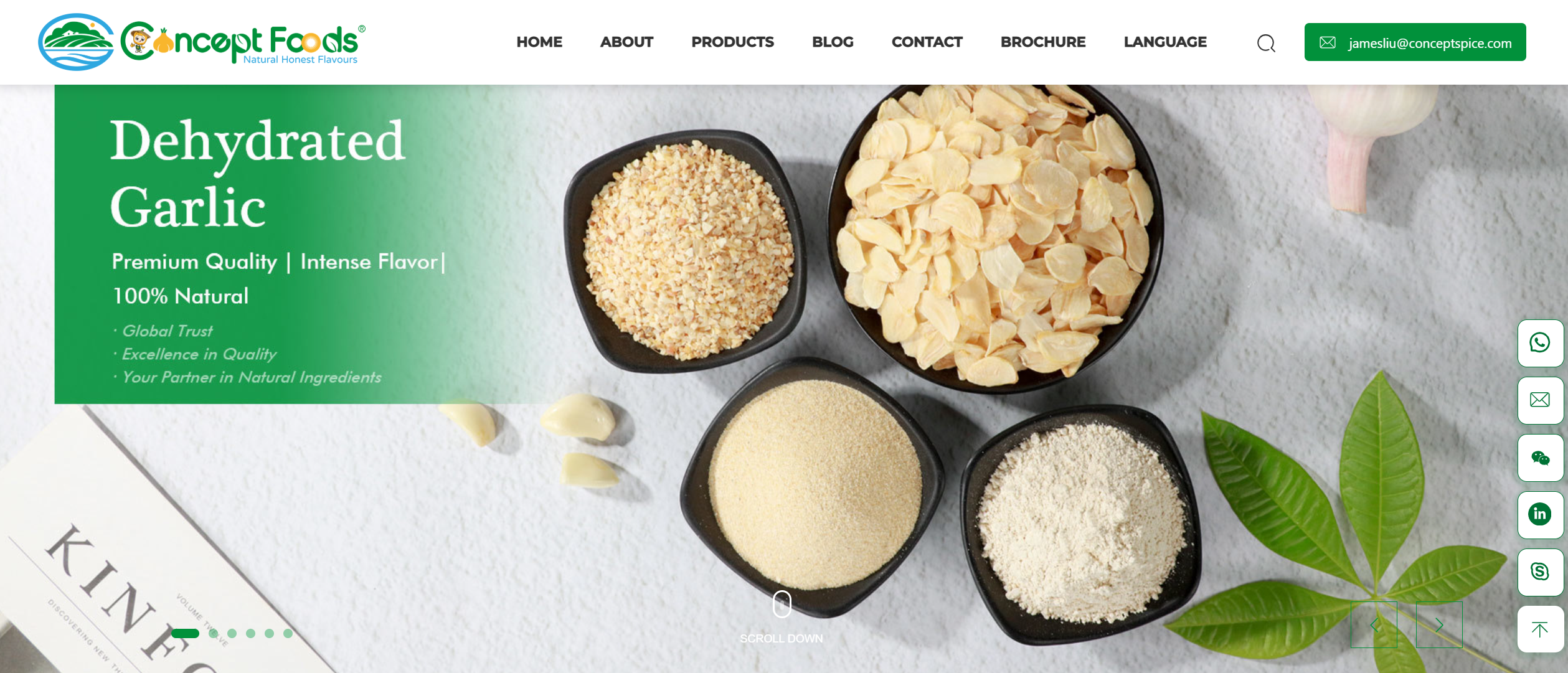 New Era, Enhanced Experience: Shandong Concept International Co., Ltd Launches Redesigned Website! New Era, Enhanced Experience: Shandong Concept International Co., Ltd Launches Redesigned Website!