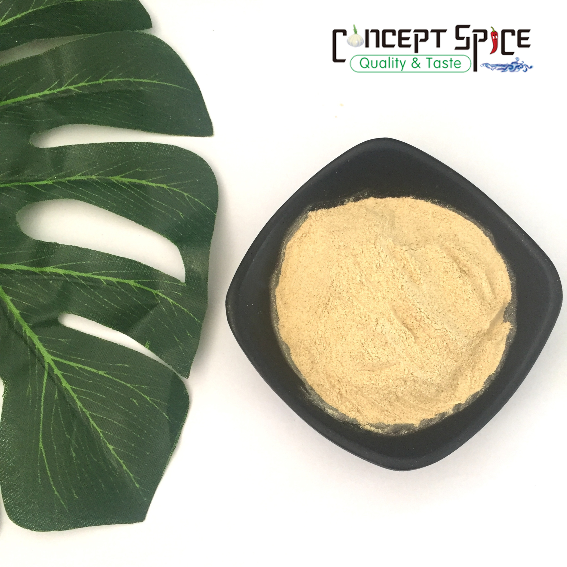Dehydrated yellow onion powder 