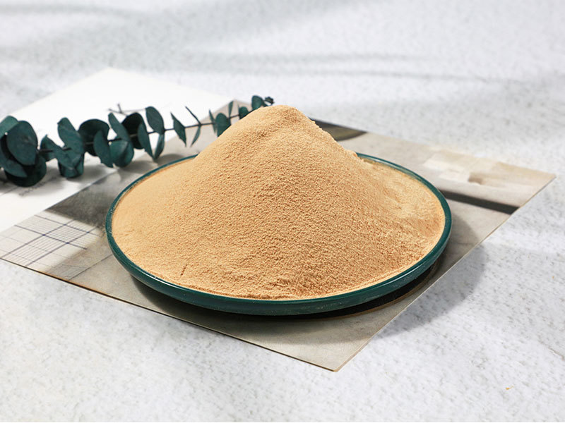 Onion powder