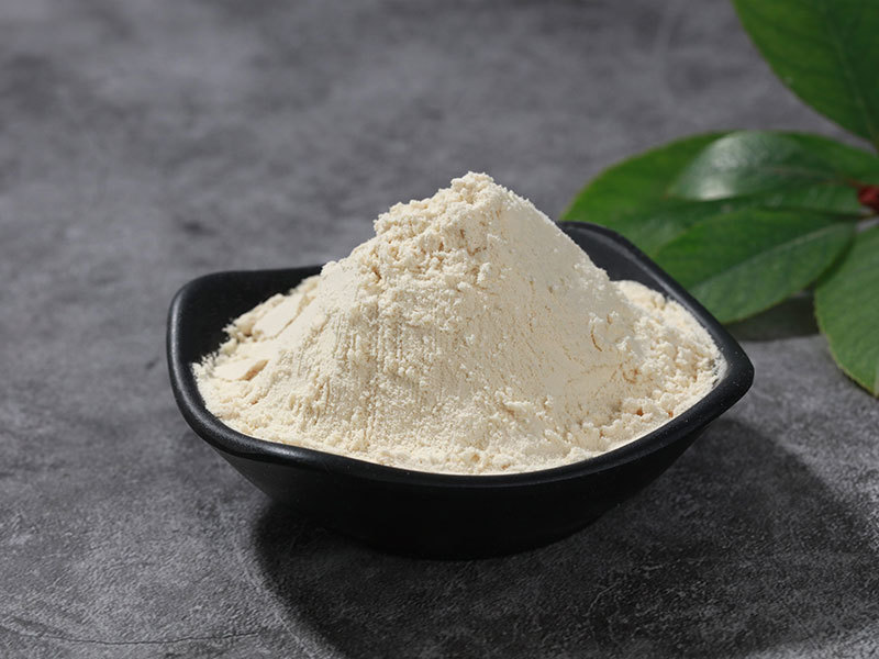 Isolate Soy Protein