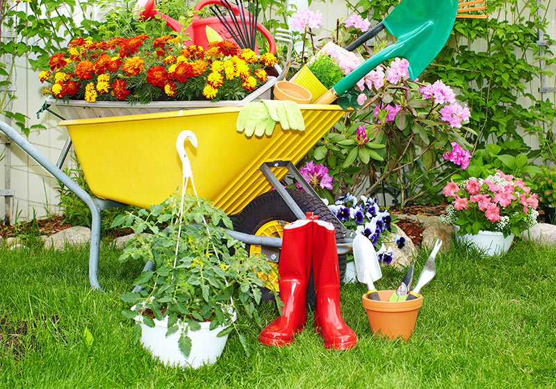 wheel barrow005 wheel barrow005