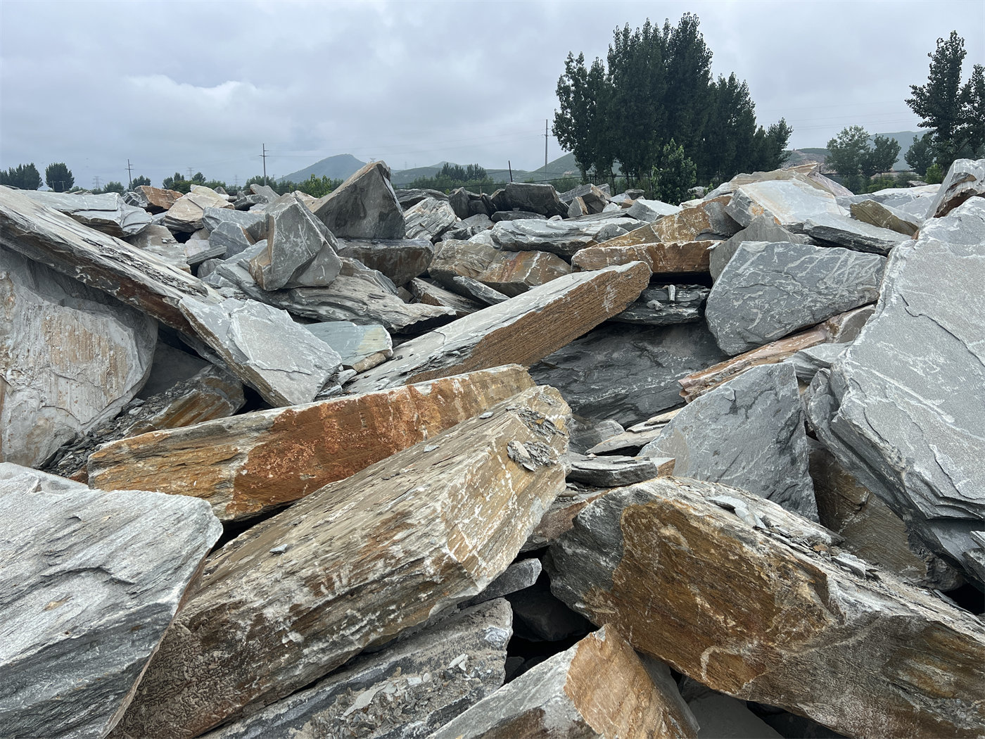 SLATE & QUARTZ